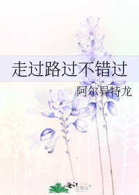 走过路过不错过