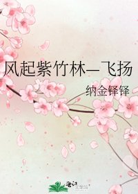 风起紫竹林—飞扬